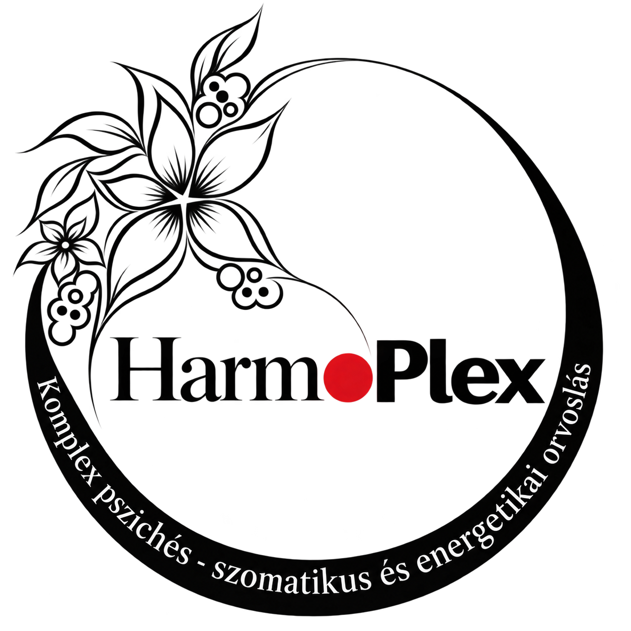 Harmoplex – hipnózis mesterfokon
